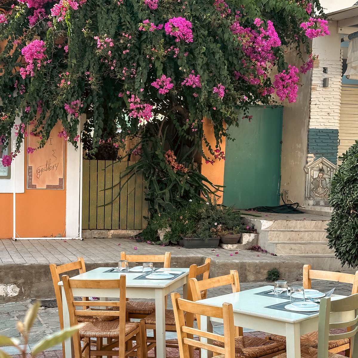 A bougainvillea in full flower over the tables on the pedestrian street